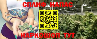 стафф Балашиха