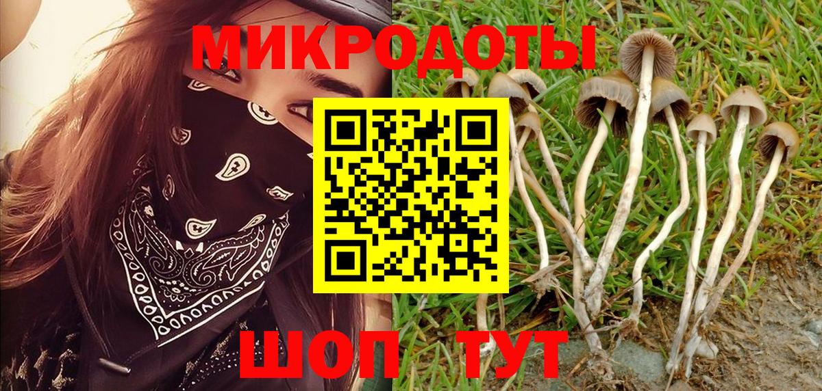 Воткинск  Галлюциногенные грибы Magic Shrooms  Галлюциногенные грибы Cubensis  Вход с VPN 